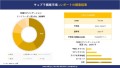 世界のキュプラ繊維産業概要