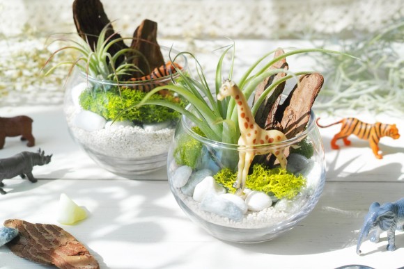 中野区役所でピコトンとグラスガーデンをつくろう