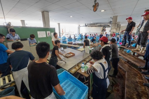 明石浦漁協のセリ市